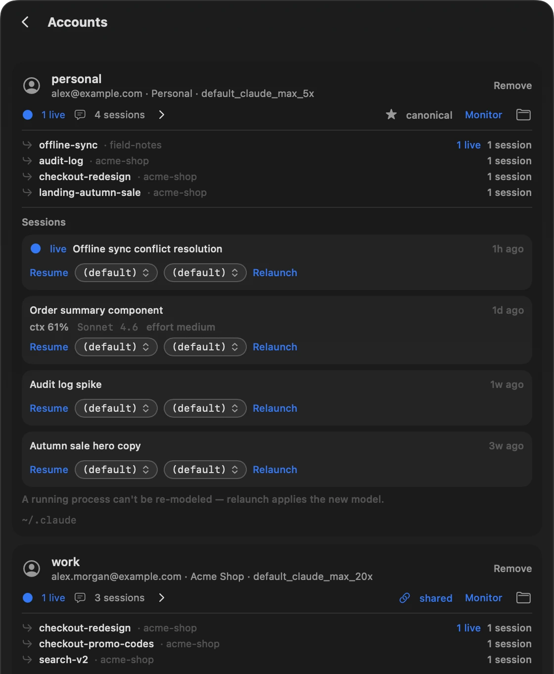 The Accounts screen: the personal account, marked canonical, with its sessions and their model and effort pickers, and below it the work account, marked shared.